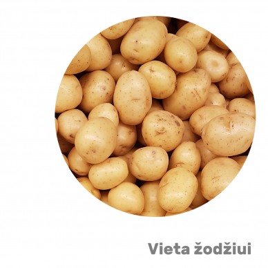 Bulvės Bulvės
