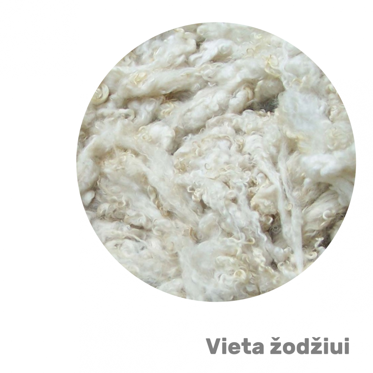 Gerai išplauta avių vilna